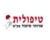 טיפולית